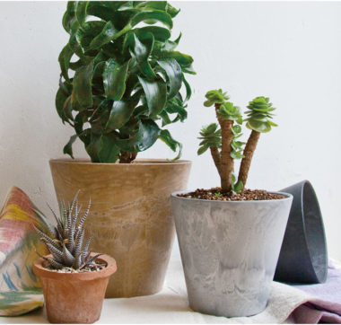おしゃれな観葉植物の「室内用植木鉢・鉢カバー」おすすめ16選 